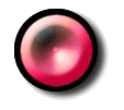button_red.jpg (4270 bytes)